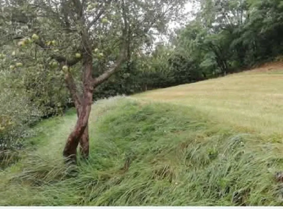 Teren intravilan 2.621 mp în Șinca Nouă  Brașov Deschidere 60m