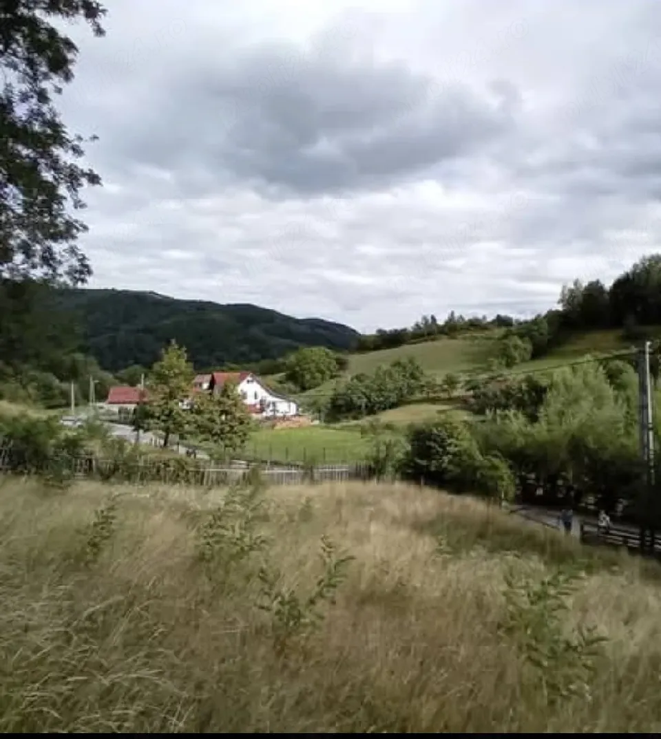Teren intravilan 2.621 mp în Șinca Nouă  Brașov Deschidere 60m