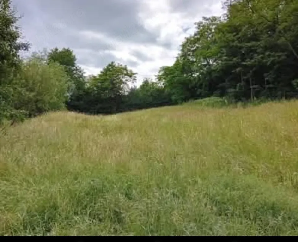 Teren intravilan 2.621 mp în Șinca Nouă  Brașov Deschidere 60m