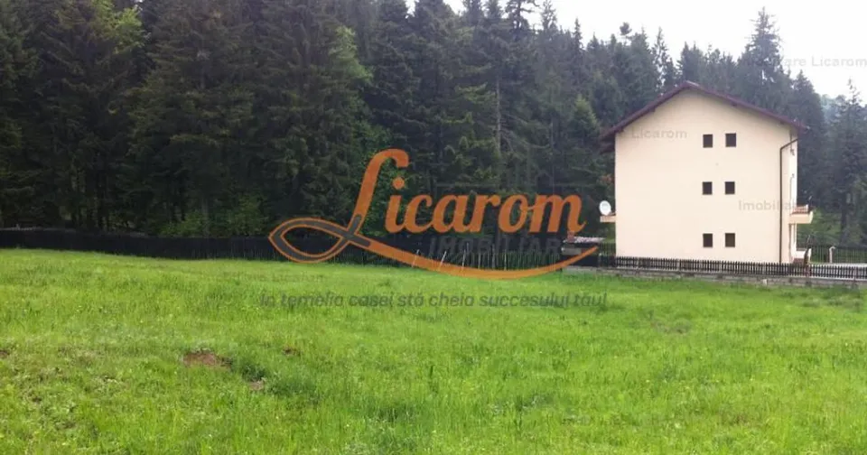 Teren intravilan Cotul Donului,pretabil Hotel/pensiune.