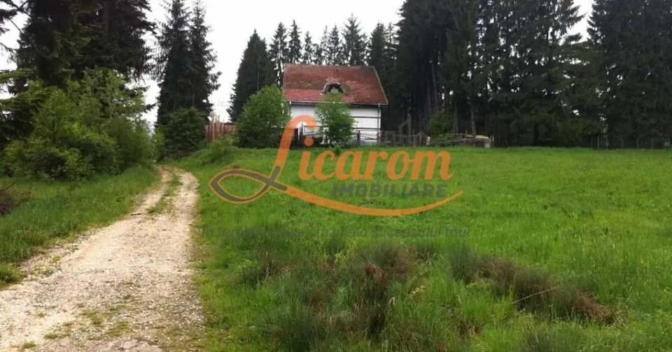 Teren intravilan Cotul Donului,pretabil Hotel/pensiune.