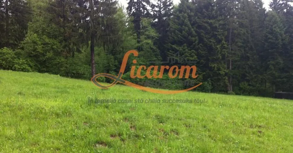 Teren intravilan Cotul Donului,pretabil Hotel/pensiune.