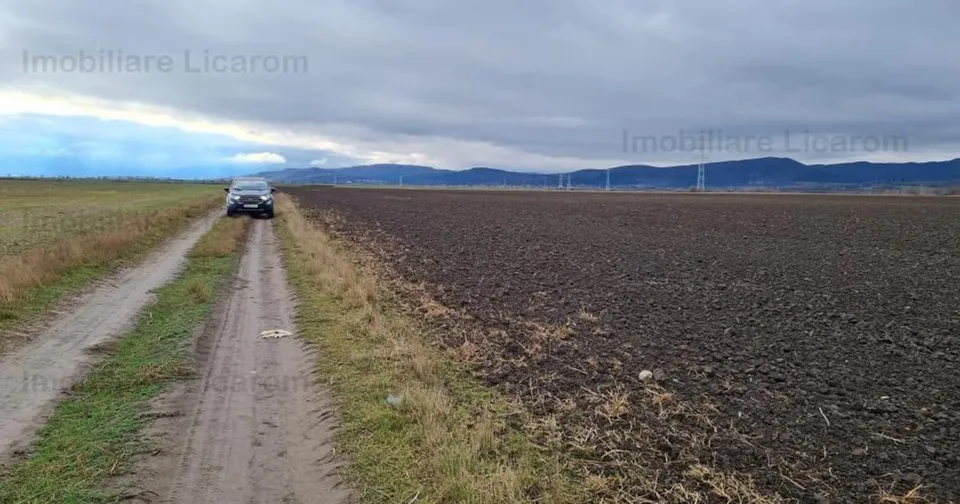 Teren agricol extravilan de 29000 mp, în Cristian preț 275.500 €