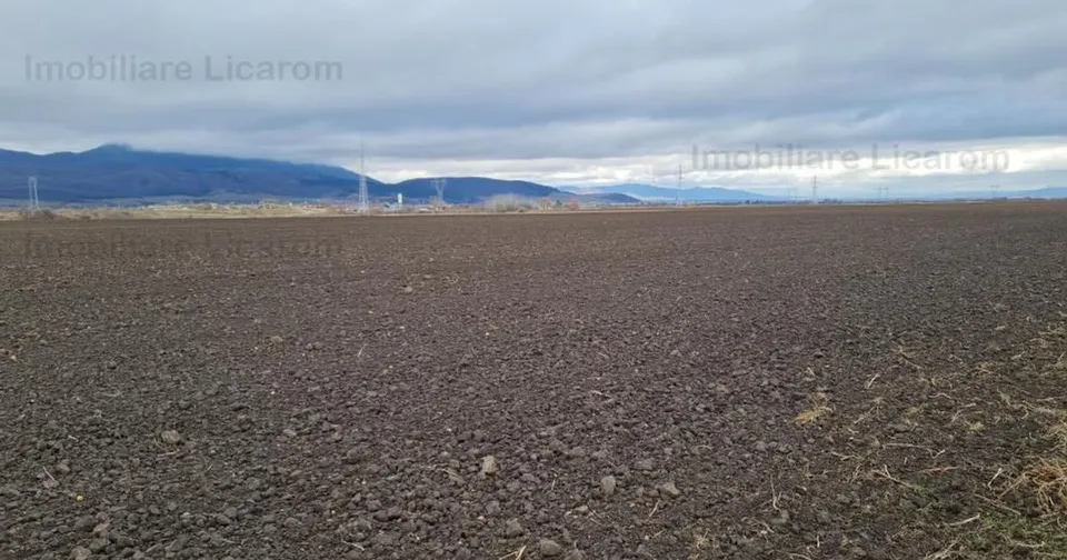 Teren agricol extravilan de 29000 mp, în Cristian preț 275.500 €