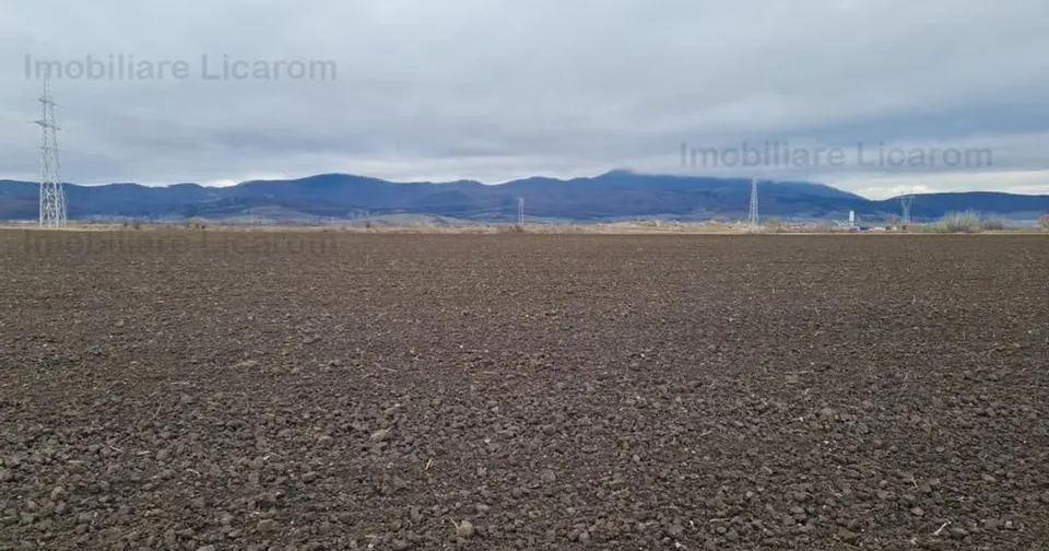 Teren agricol extravilan de 29000 mp, în Cristian preț 275.500 €