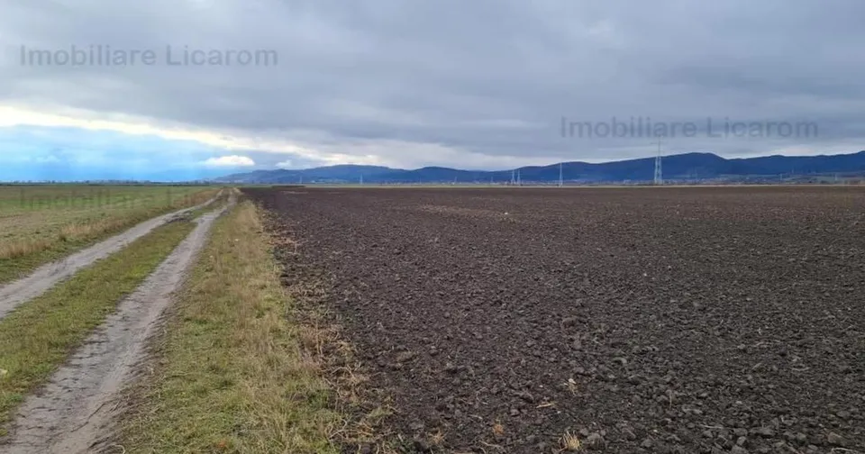 Teren agricol extravilan de 29000 mp, în Cristian preț 275.500 €
