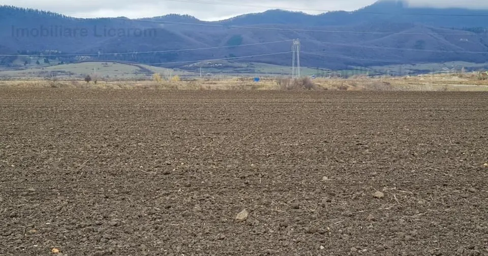 Teren agricol extravilan de 29000 mp, în Cristian preț 275.500 €