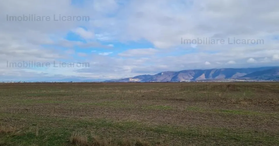 Teren agricol extravilan de 29000 mp, în Cristian preț 275.500 €