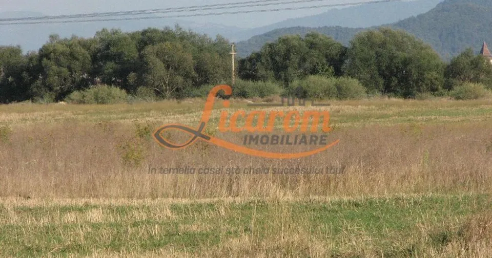 Codlea teren constructii industriale sau logistice 8 ha pana la 24 Ha