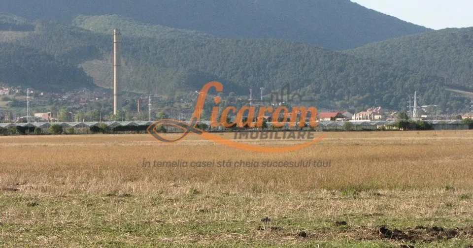 Codlea teren constructii industriale sau logistice 8 ha pana la 24 Ha