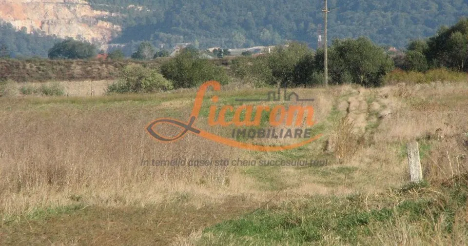 Codlea teren constructii industriale sau logistice 8 ha pana la 24 Ha