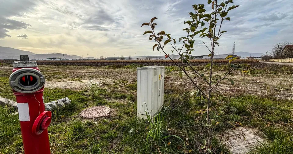 Teren industrial, intravilan, cu utilitati, Stupini, 11.600 mp