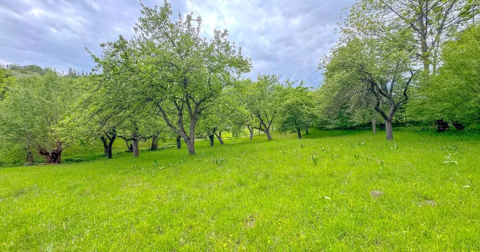 Teren 1500mp, intravilan cu utilitati, in proximitatea complexului Vila Bran