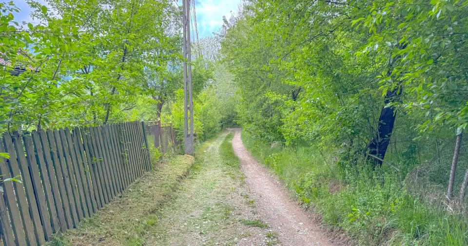 Teren 1500mp, intravilan cu utilitati, in proximitatea complexului Vila Bran
