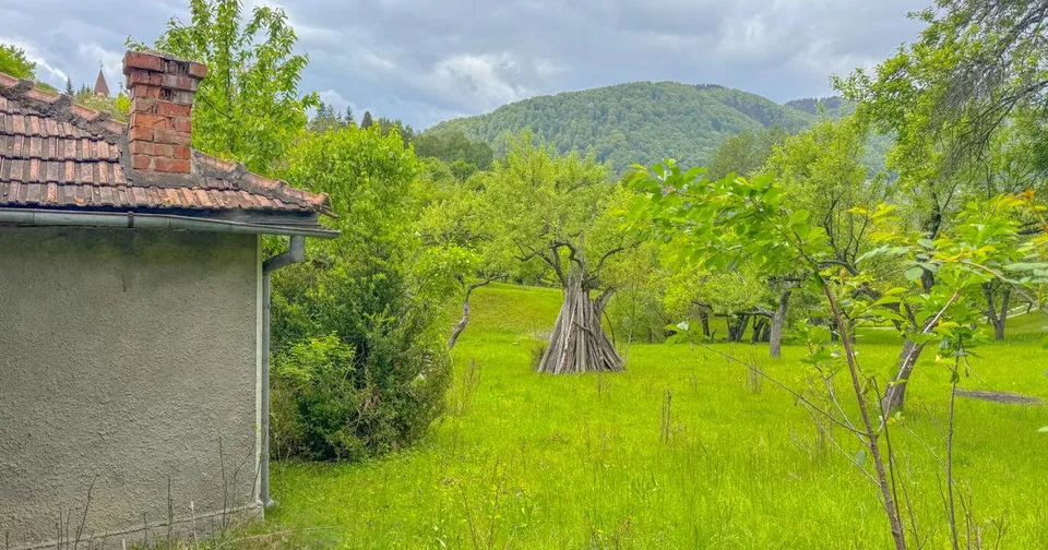 Teren 1500mp, intravilan cu utilitati, in proximitatea complexului Vila Bran