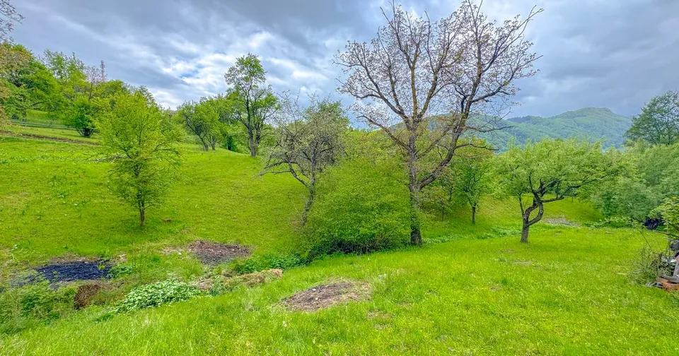 Teren 1500mp, intravilan cu utilitati, in proximitatea complexului Vila Bran