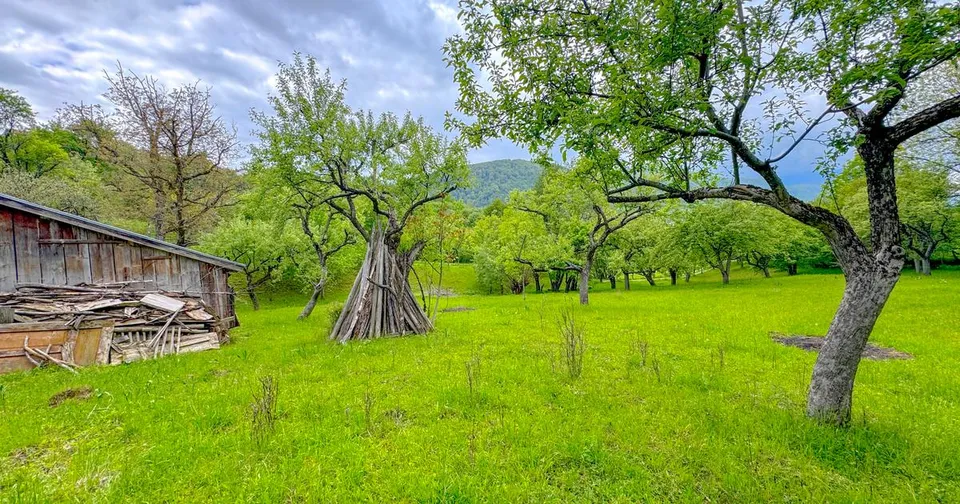 Teren 1500mp, intravilan cu utilitati, in proximitatea complexului Vila Bran