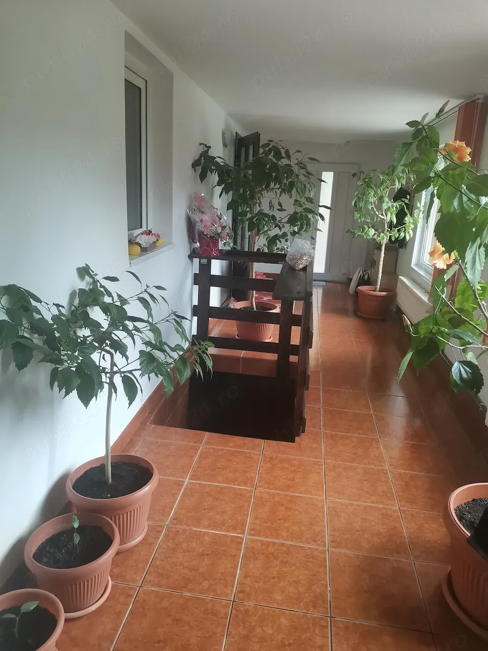 Proprietar, Vand casa cu mansarda in Tarlungeni
