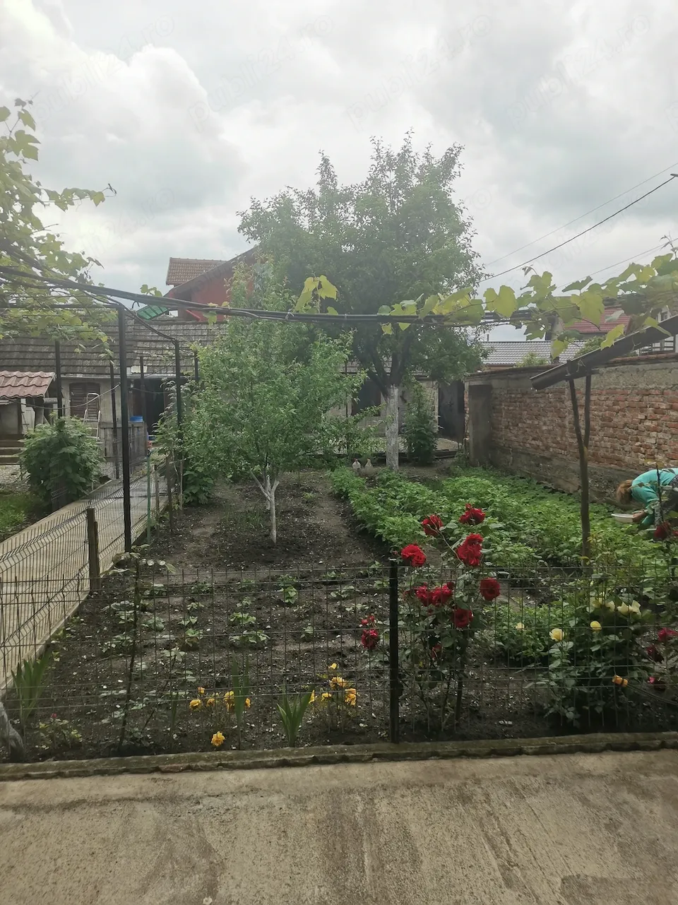 Proprietar, Vand casa cu mansarda in Tarlungeni