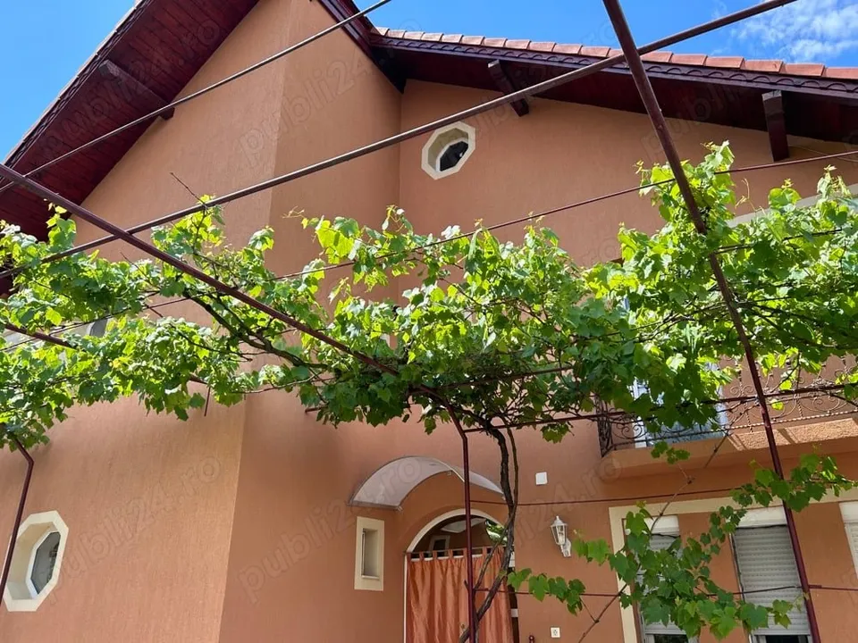 Arad, OCAZIE UNICA pentru viata la tara si CINE DORESTE !?