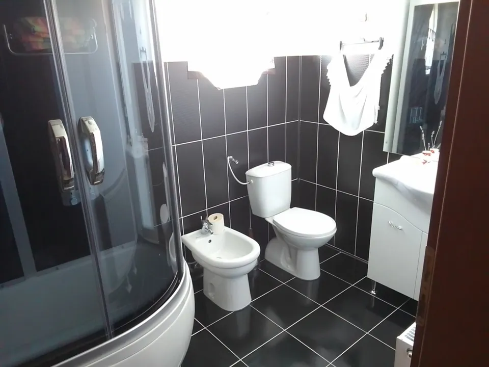 Arad, OCAZIE UNICA pentru viata la tara si CINE DORESTE !?