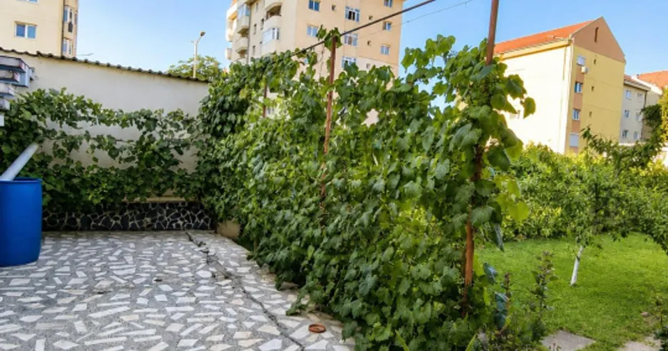 Apartament la casă, 4 camere, 120 mp | Bieltz - Aeroport