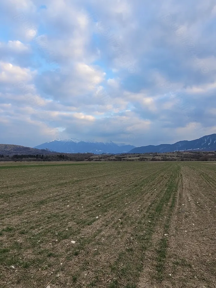 Vand teren